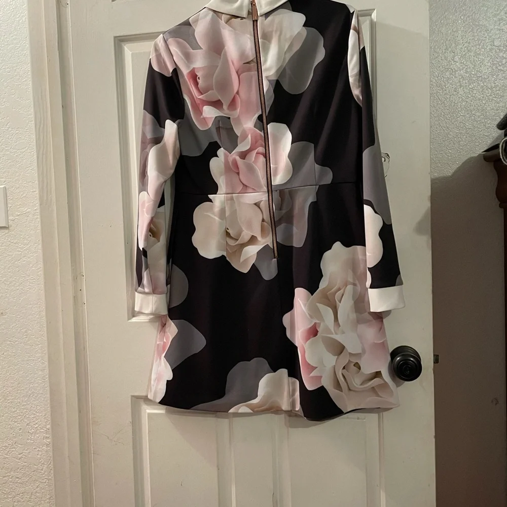 Ted Baker dress - Picture 3 of 3